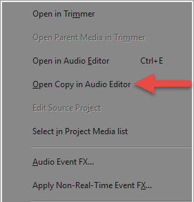 Open Copy in Audio Editor